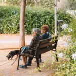 Senior ladies enjoy a peaceful day in a sunny park in Valencia, Spain.